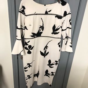 Taylor White a black dress